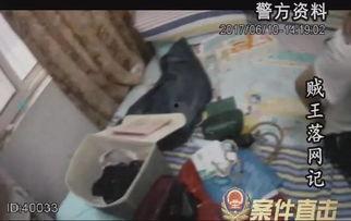 贼王最新爆料视频播放,最新爆料视频深度解析 第2张 贼王最新爆料视频播放,最新爆料视频深度解析 第2张